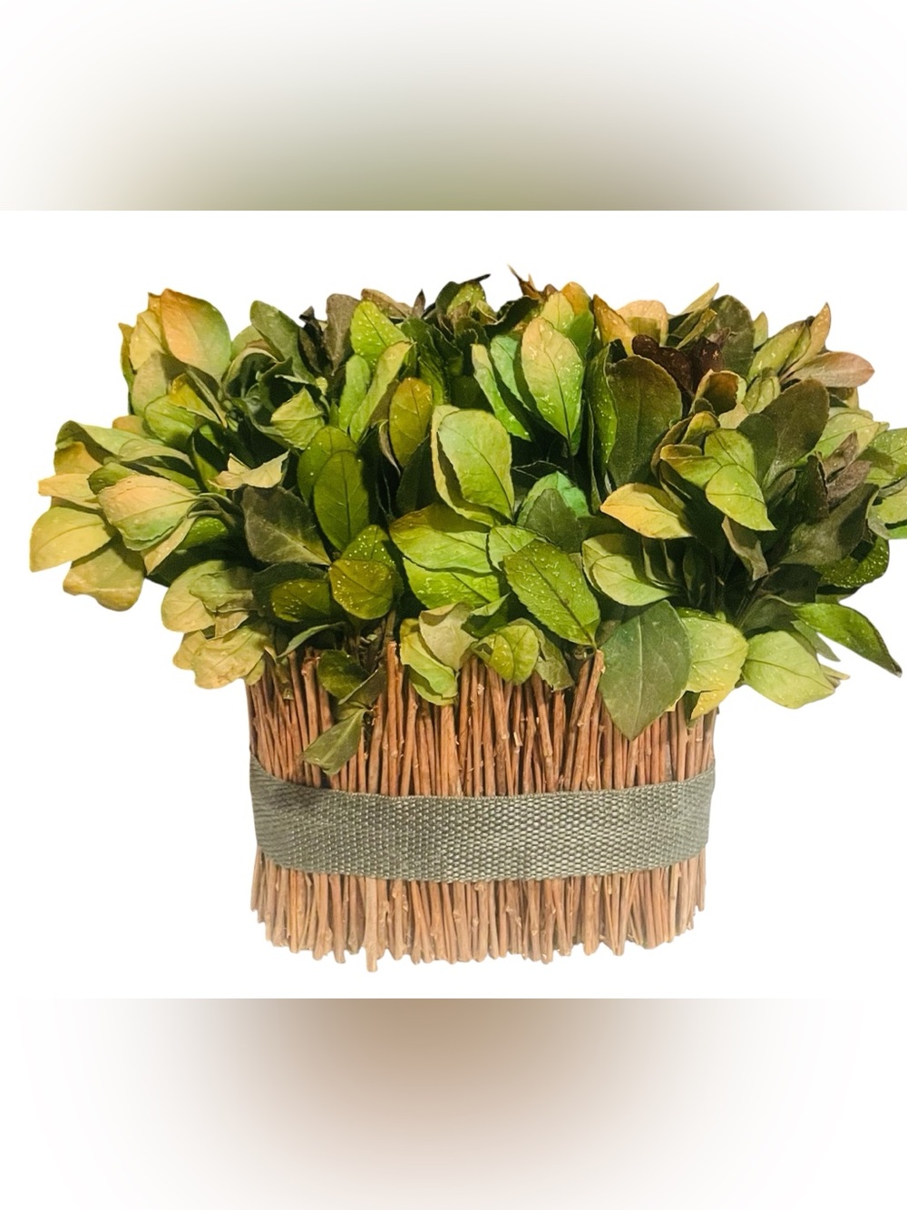 Boho Coastal Faux Tea Leaf Arrangement in Rustic Twig Basket Cottagecore Accent